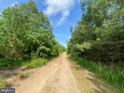 LOT 7 CHRISTANNA HWY, LAWRENCEVILLE, Virginia 23868, ,Land,For sale,LOT 7 CHRISTANNA HWY,VABW2000078 MLS # VABW2000078