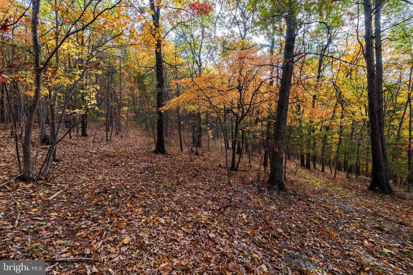 LUCAS HOLLOW RD, STANLEY, Virginia 22851, ,Land,For sale,LUCAS HOLLOW RD,VAPA2005076 MLS # VAPA2005076