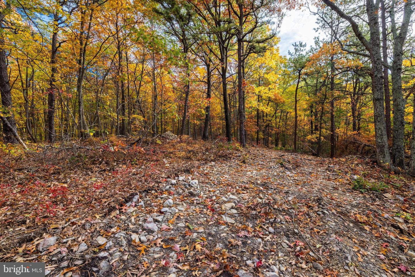 LUCAS HOLLOW RD, STANLEY, Virginia 22851, ,Land,For sale,LUCAS HOLLOW RD,VAPA2005076 MLS # VAPA2005076