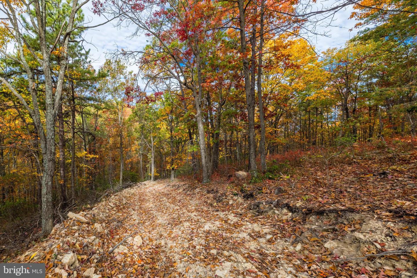 LUCAS HOLLOW RD, STANLEY, Virginia 22851, ,Land,For sale,LUCAS HOLLOW RD,VAPA2005076 MLS # VAPA2005076