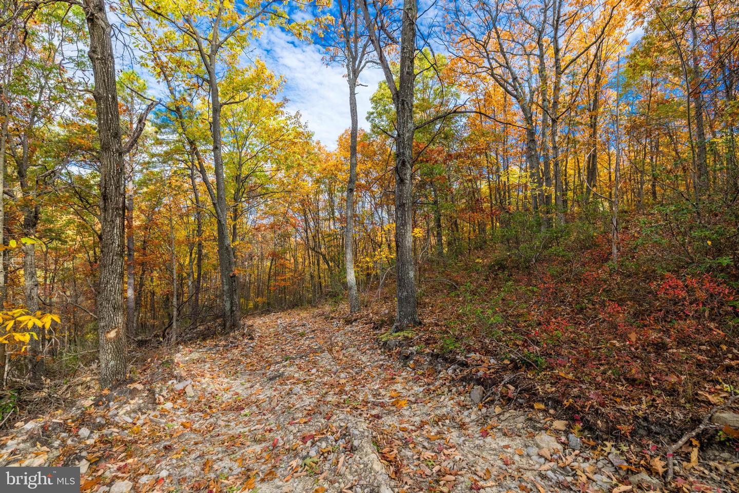 LUCAS HOLLOW RD, STANLEY, Virginia 22851, ,Land,For sale,LUCAS HOLLOW RD,VAPA2005076 MLS # VAPA2005076