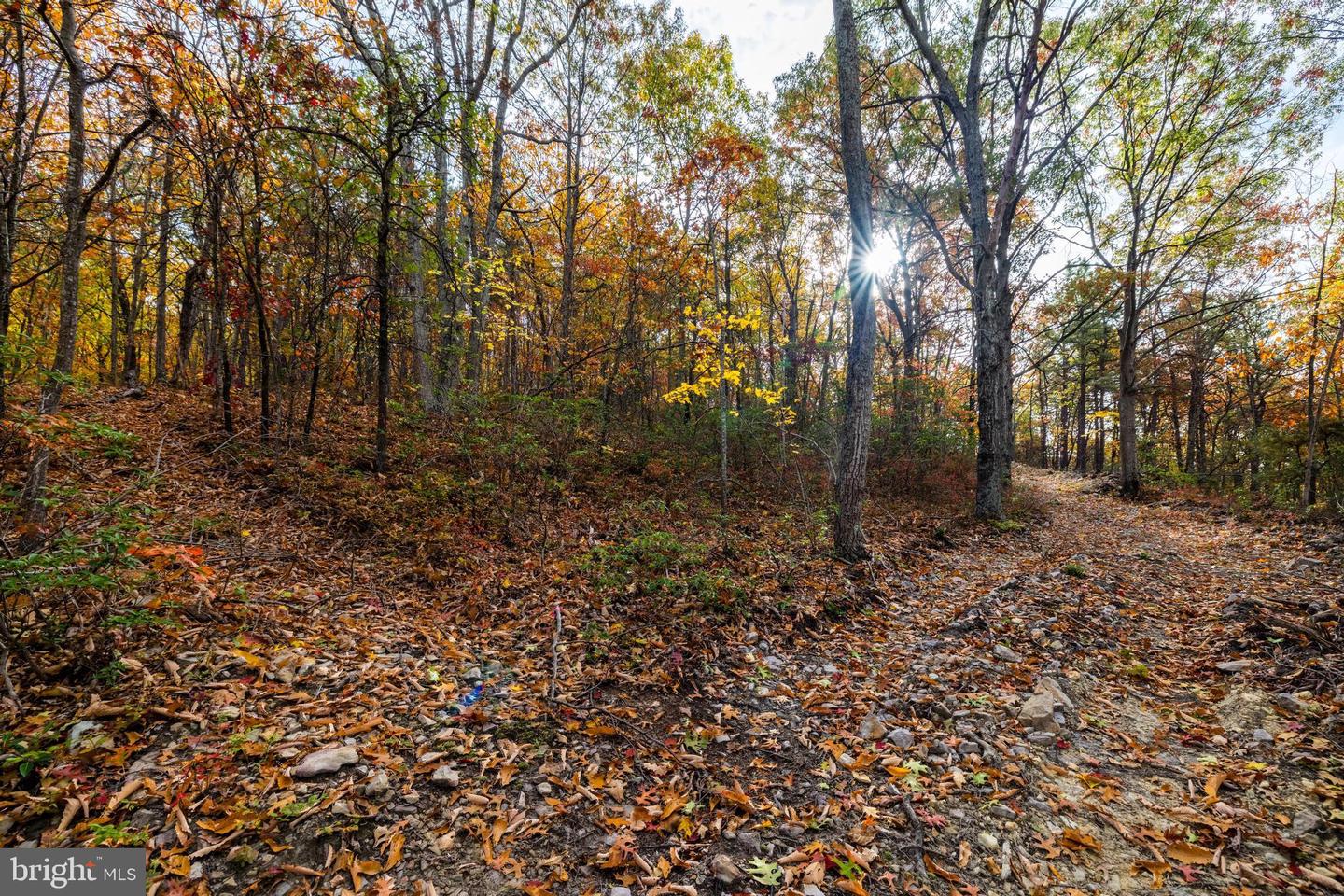 LUCAS HOLLOW RD, STANLEY, Virginia 22851, ,Land,For sale,LUCAS HOLLOW RD,VAPA2005076 MLS # VAPA2005076