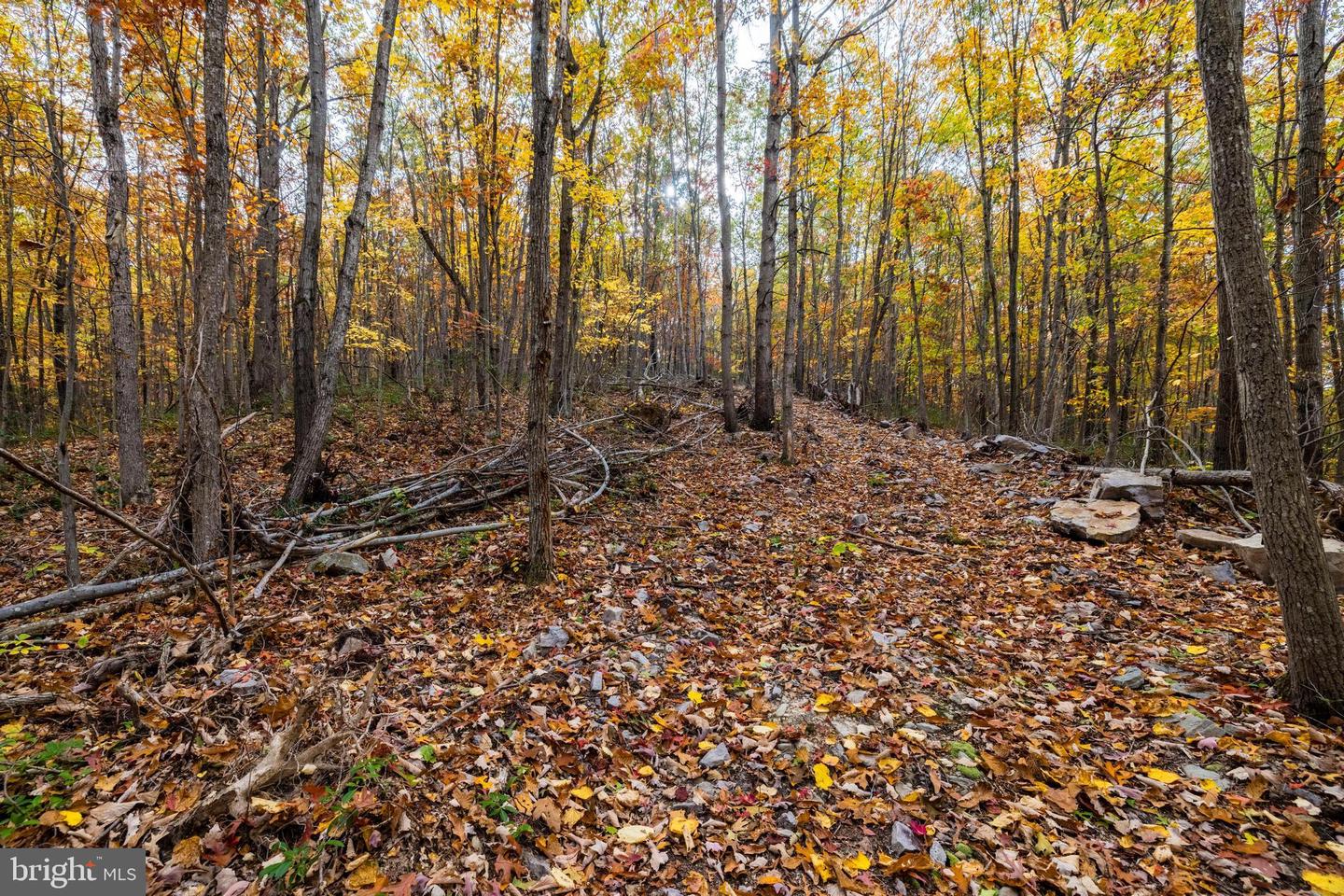 LUCAS HOLLOW RD, STANLEY, Virginia 22851, ,Land,For sale,LUCAS HOLLOW RD,VAPA2005076 MLS # VAPA2005076