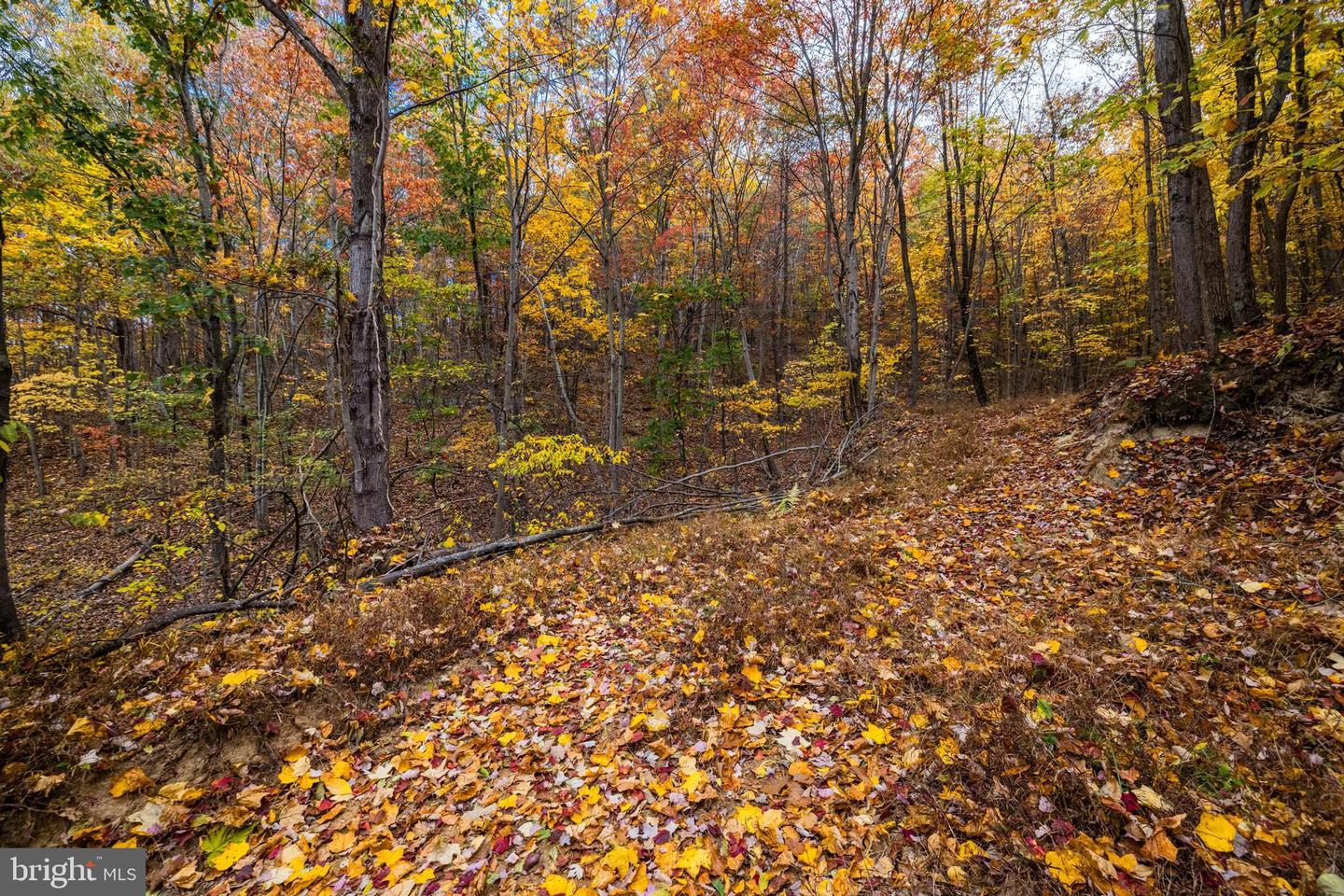 LUCAS HOLLOW RD, STANLEY, Virginia 22851, ,Land,For sale,LUCAS HOLLOW RD,VAPA2005076 MLS # VAPA2005076