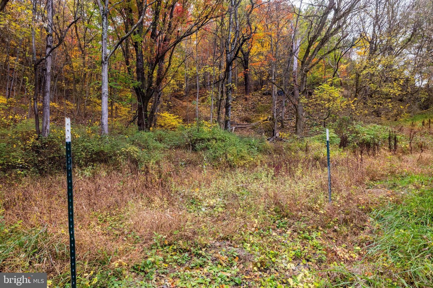 LUCAS HOLLOW RD, STANLEY, Virginia 22851, ,Land,For sale,LUCAS HOLLOW RD,VAPA2005076 MLS # VAPA2005076
