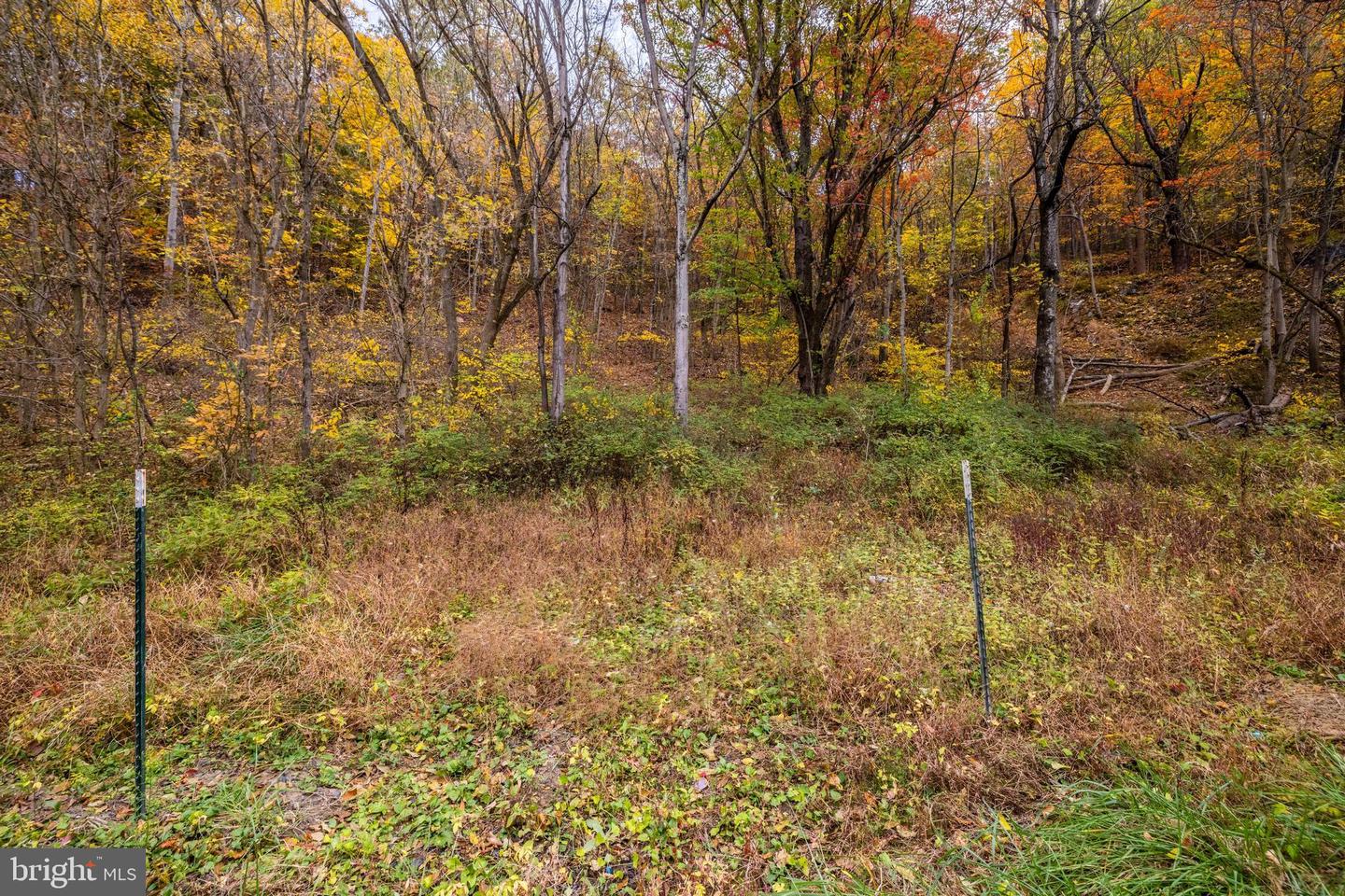 LUCAS HOLLOW RD, STANLEY, Virginia 22851, ,Land,For sale,LUCAS HOLLOW RD,VAPA2005076 MLS # VAPA2005076