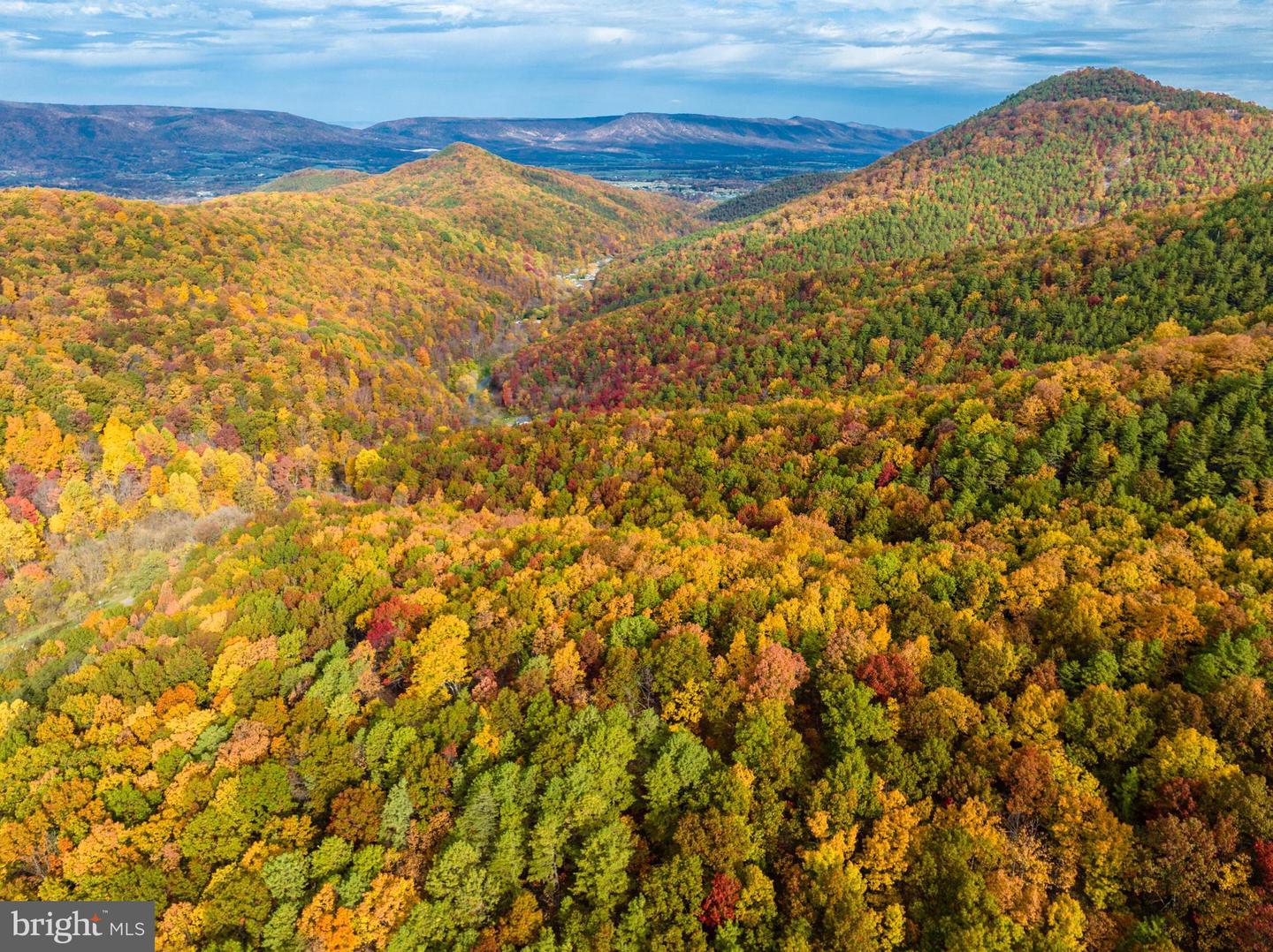 LUCAS HOLLOW RD, STANLEY, Virginia 22851, ,Land,For sale,LUCAS HOLLOW RD,VAPA2005076 MLS # VAPA2005076