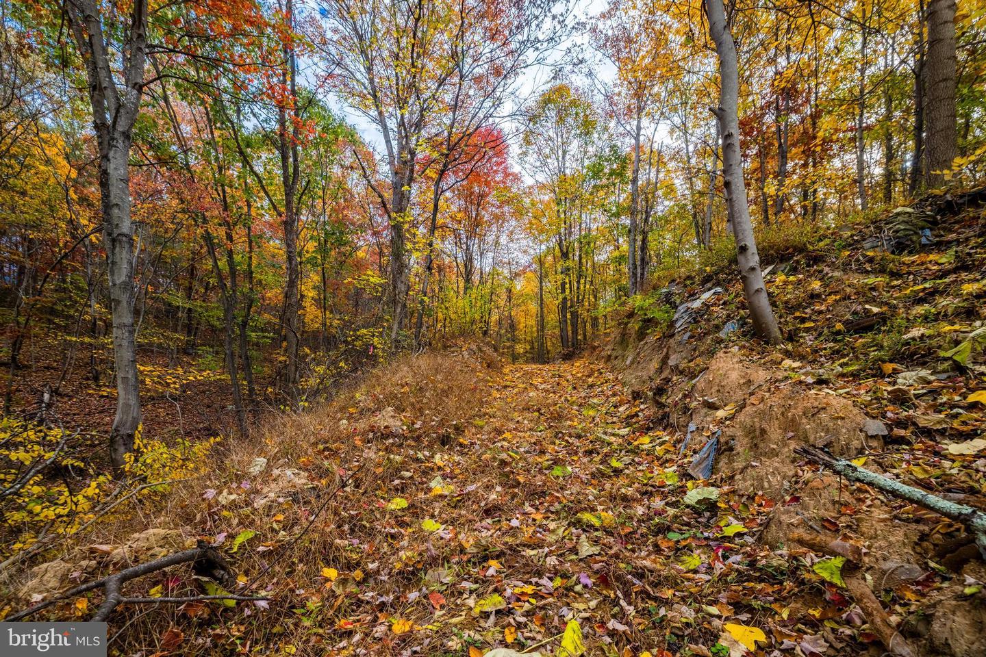 LUCAS HOLLOW RD, STANLEY, Virginia 22851, ,Land,For sale,LUCAS HOLLOW RD,VAPA2005076 MLS # VAPA2005076