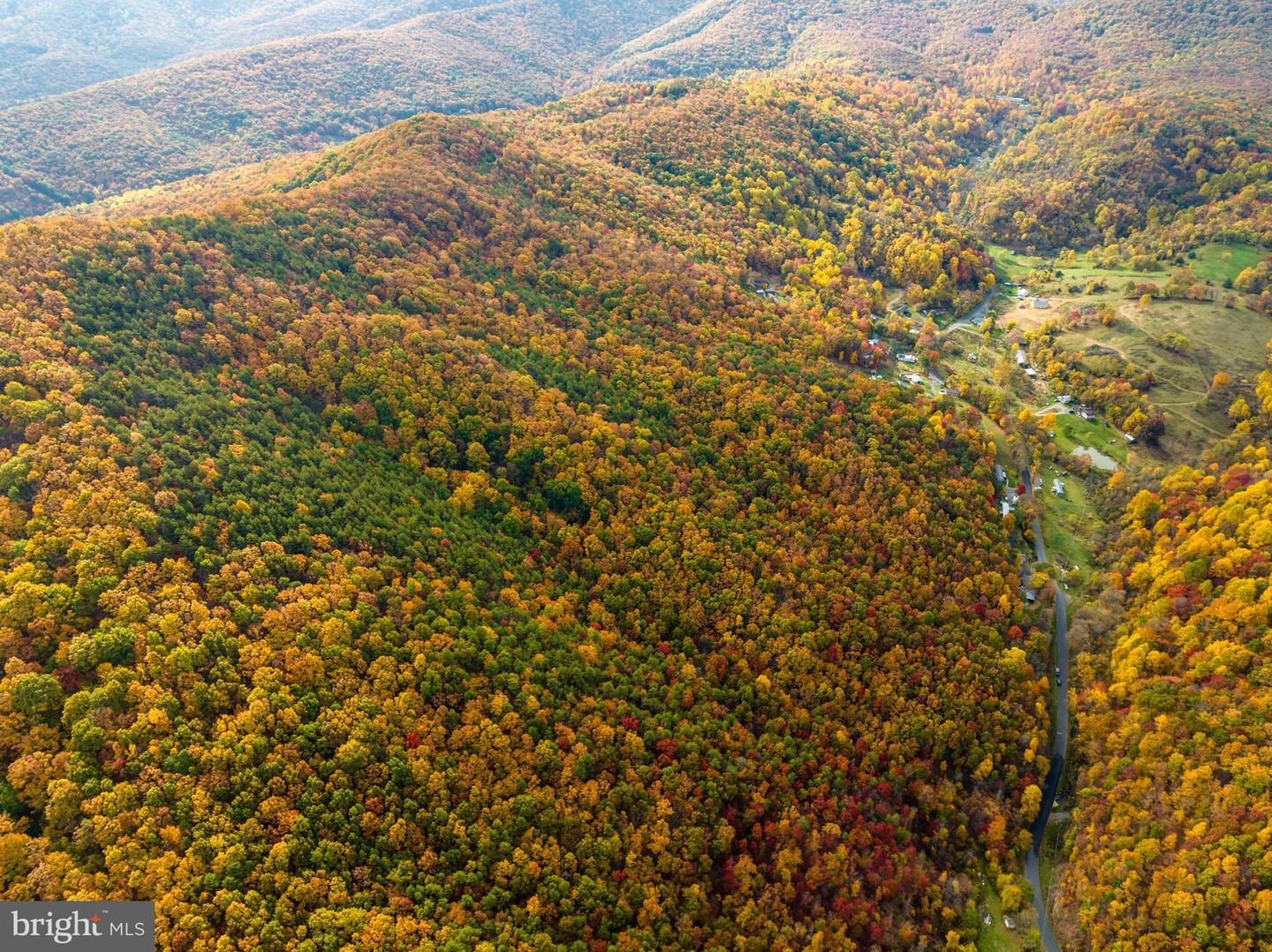LUCAS HOLLOW RD, STANLEY, Virginia 22851, ,Land,For sale,LUCAS HOLLOW RD,VAPA2005076 MLS # VAPA2005076