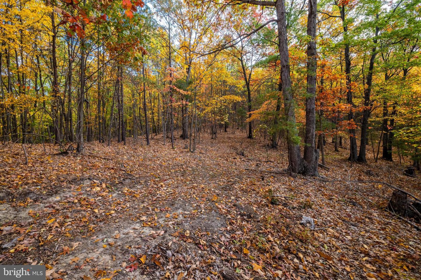 LUCAS HOLLOW RD, STANLEY, Virginia 22851, ,Land,For sale,LUCAS HOLLOW RD,VAPA2005076 MLS # VAPA2005076