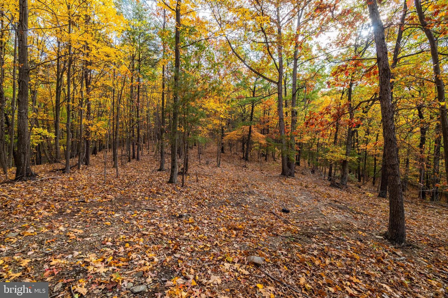 LUCAS HOLLOW RD, STANLEY, Virginia 22851, ,Land,For sale,LUCAS HOLLOW RD,VAPA2005076 MLS # VAPA2005076