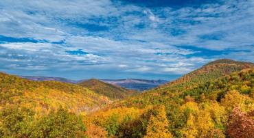 LUCAS HOLLOW RD, STANLEY, Virginia 22851, ,Land,For sale,LUCAS HOLLOW RD,VAPA2005076 MLS # VAPA2005076