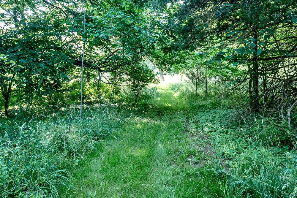 to the back of the property