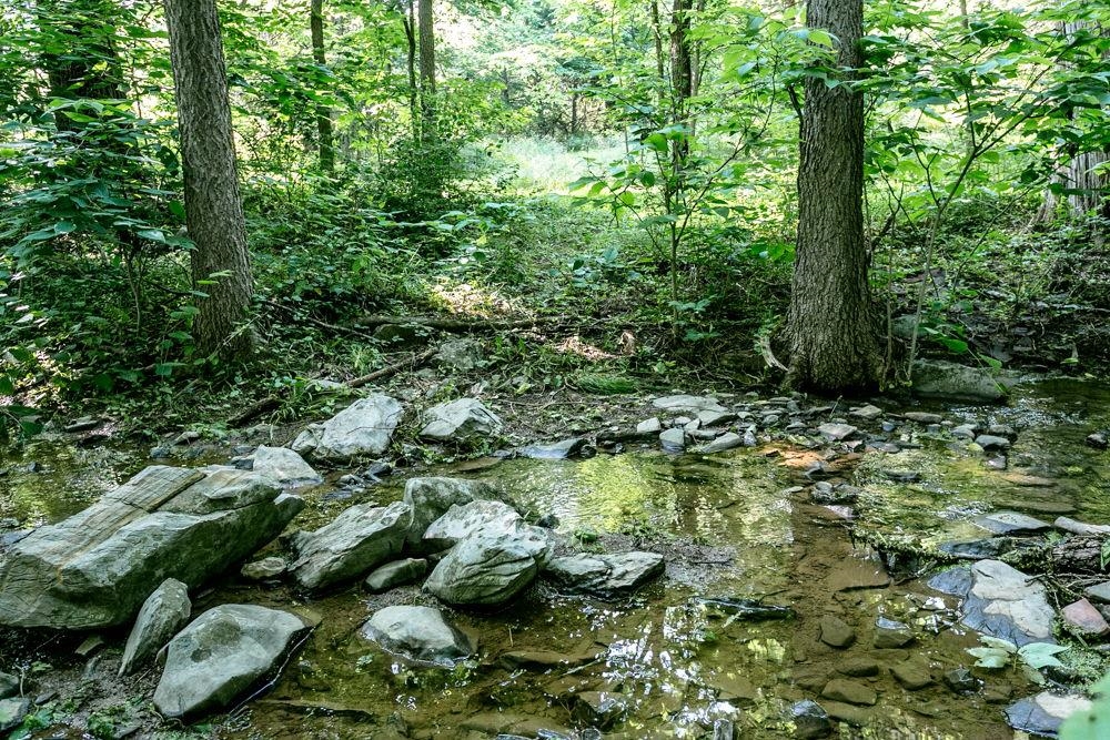 at the back of the property.