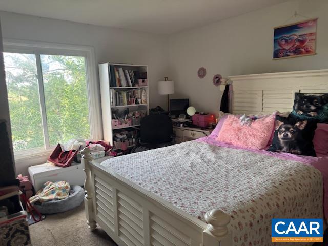 105 BERRY ST #10, ORANGE, Virginia 22960, 2 Bedrooms Bedrooms, ,1 BathroomBathrooms,Residential,For sale,105 BERRY ST #10,665153 MLS # 665153