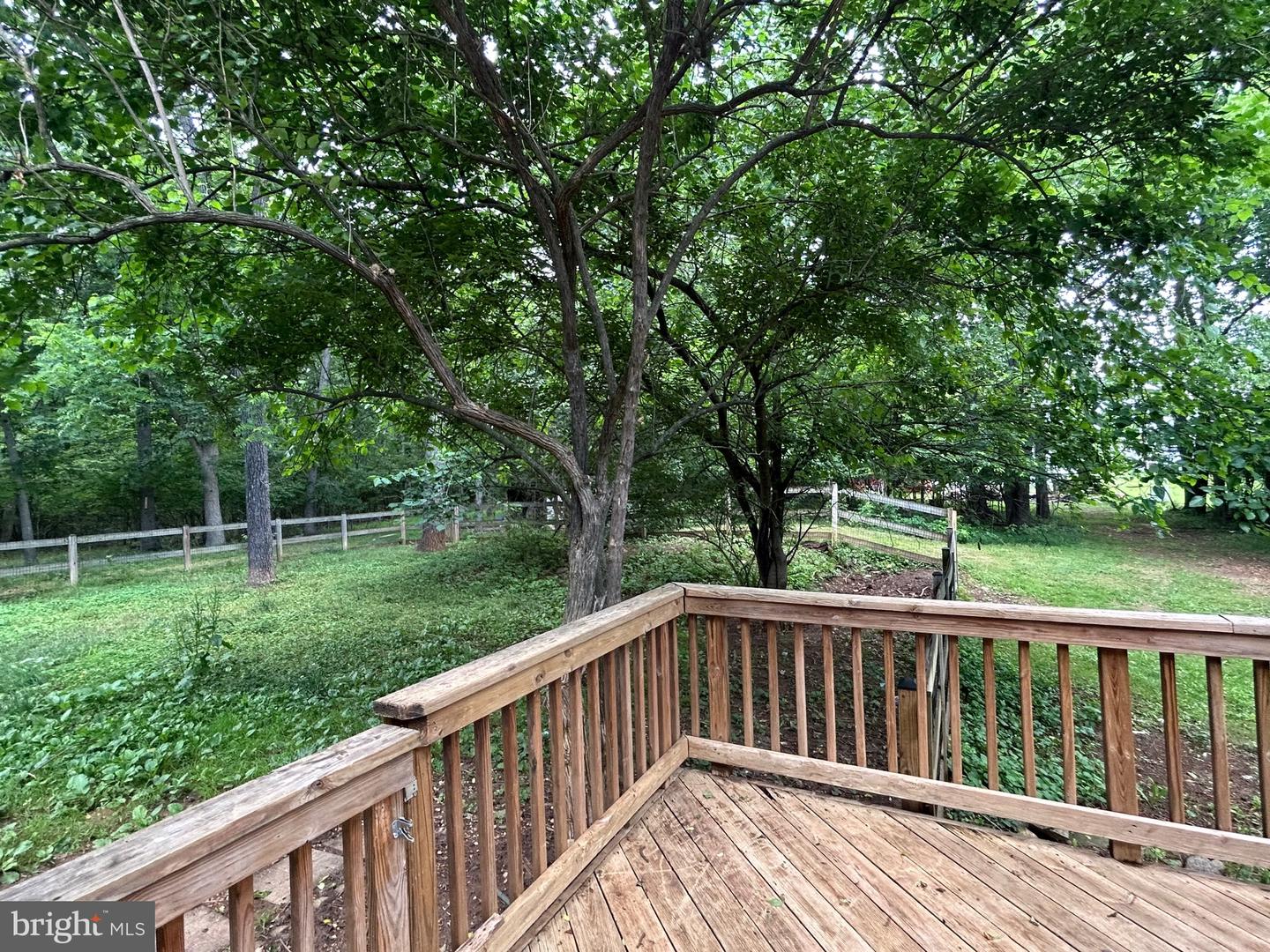 513 RUSSELL RD, BERRYVILLE, Virginia 22611, 3 Bedrooms Bedrooms, ,1 BathroomBathrooms,Residential,For sale,513 RUSSELL RD,VACL2003858 MLS # VACL2003858