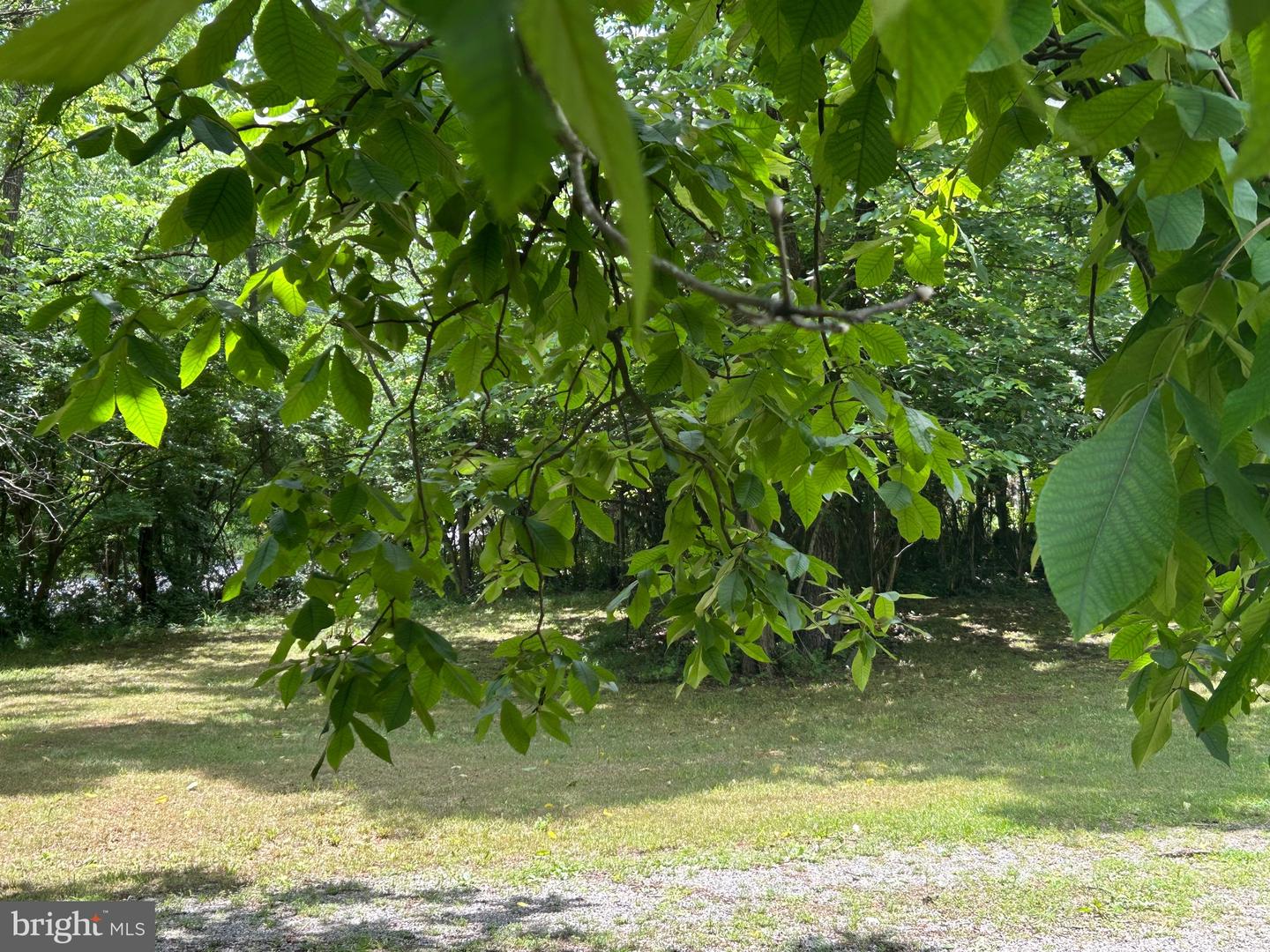 513 RUSSELL RD, BERRYVILLE, Virginia 22611, 3 Bedrooms Bedrooms, ,1 BathroomBathrooms,Residential,For sale,513 RUSSELL RD,VACL2003858 MLS # VACL2003858