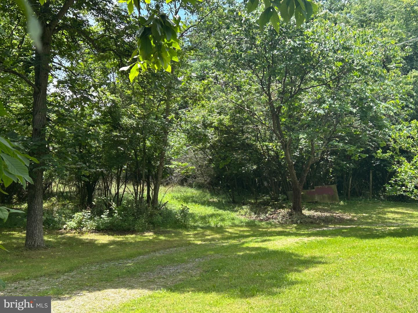 513 RUSSELL RD, BERRYVILLE, Virginia 22611, 3 Bedrooms Bedrooms, ,1 BathroomBathrooms,Residential,For sale,513 RUSSELL RD,VACL2003858 MLS # VACL2003858