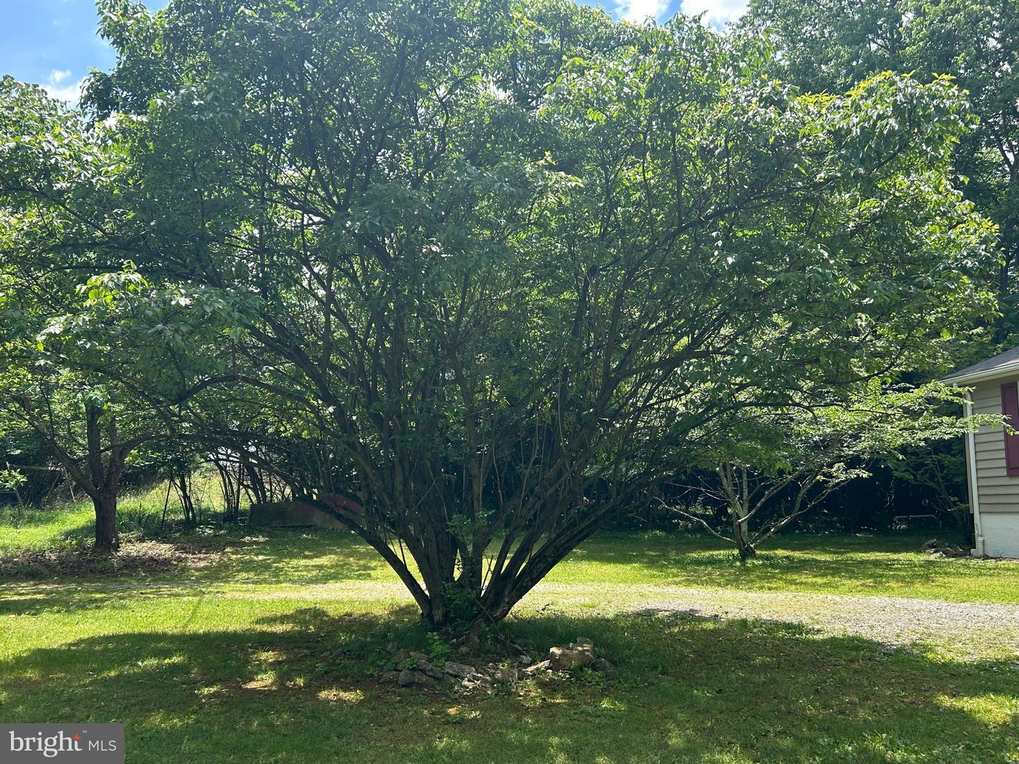 513 RUSSELL RD, BERRYVILLE, Virginia 22611, 3 Bedrooms Bedrooms, ,1 BathroomBathrooms,Residential,For sale,513 RUSSELL RD,VACL2003858 MLS # VACL2003858