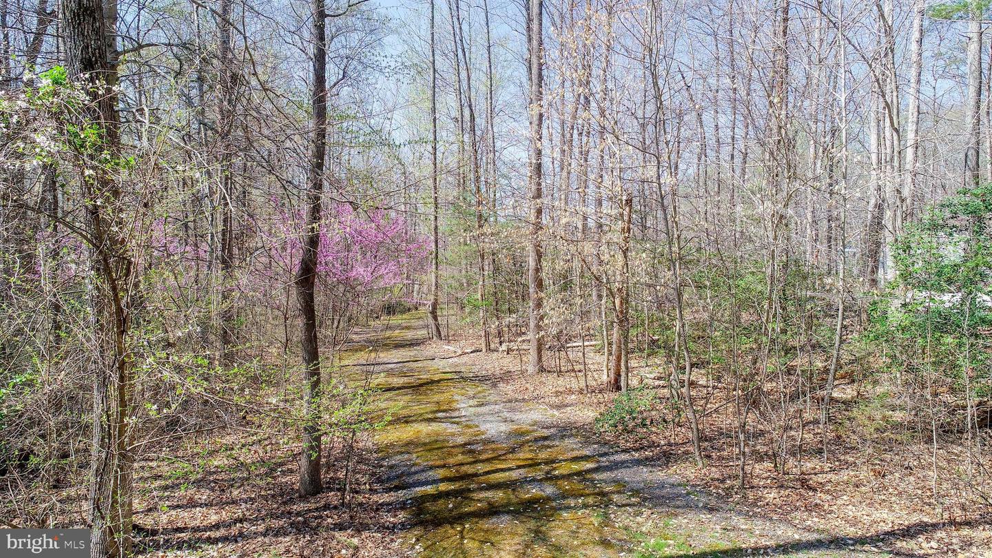 11523 RED ROCK LN, BUMPASS, Virginia 23024, 4 Bedrooms Bedrooms, 10 Rooms Rooms,2 BathroomsBathrooms,Residential,For sale,11523 RED ROCK LN,VASP2034192 MLS # VASP2034192