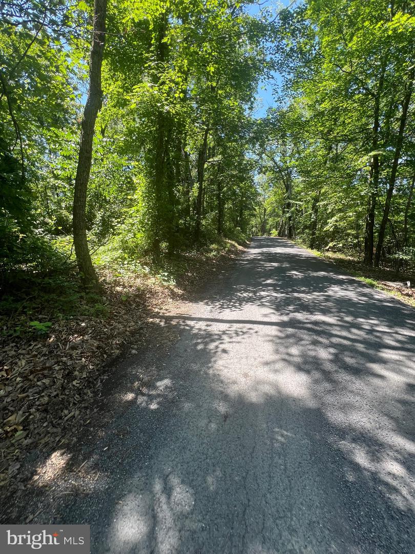 LOT 6 SUPINLICK RIDGE, BROADWAY, Virginia 22815, ,Land,For sale,LOT 6 SUPINLICK RIDGE,VASH2011808 MLS # VASH2011808