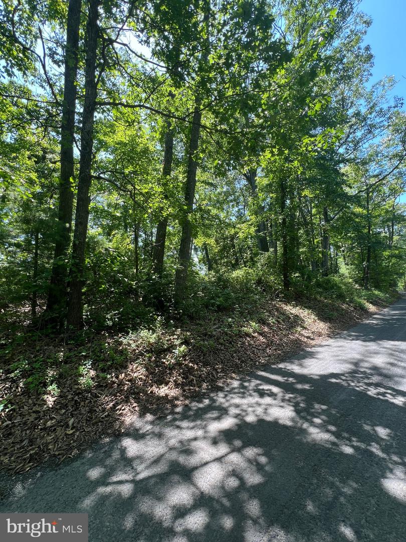 LOT 6 SUPINLICK RIDGE, BROADWAY, Virginia 22815, ,Land,For sale,LOT 6 SUPINLICK RIDGE,VASH2011808 MLS # VASH2011808