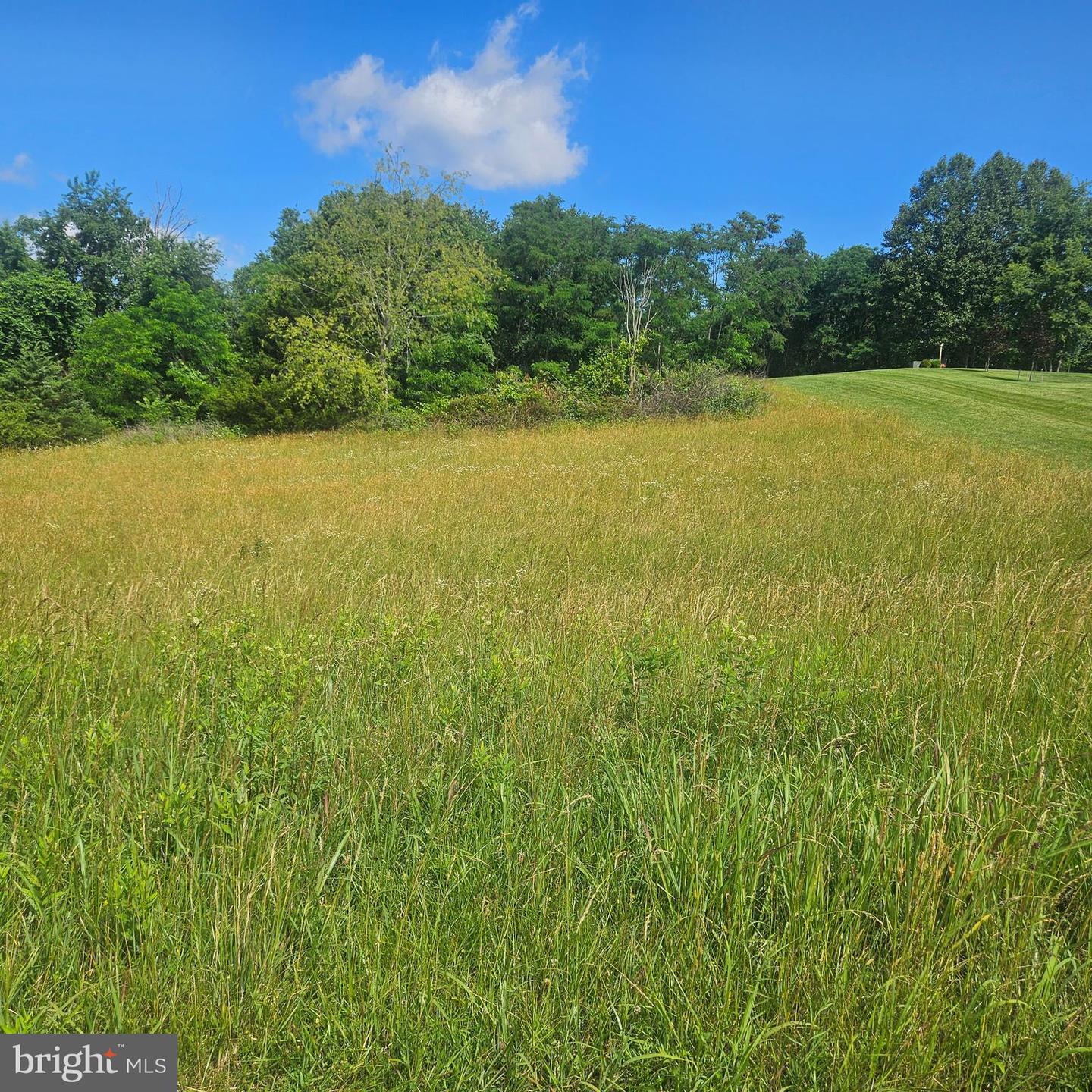 0 PEAR BLOSSOM LN #9, 11, 12, 13, NATURAL BRIDGE, Virginia 24578, ,Land,For sale,0 PEAR BLOSSOM LN #9, 11, 12, 13,VARB2000136 MLS # VARB2000136