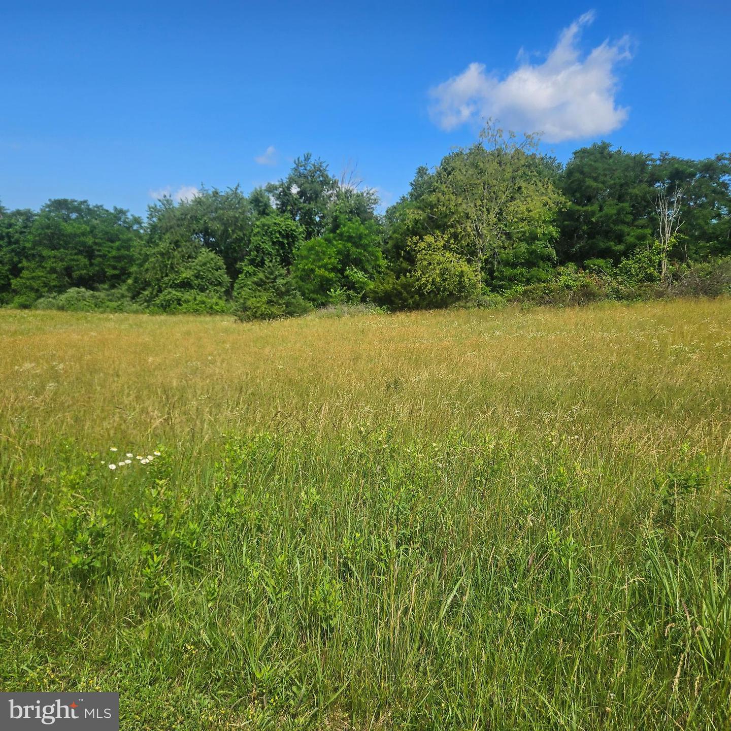 0 PEAR BLOSSOM LN #9, 11, 12, 13, NATURAL BRIDGE, Virginia 24578, ,Land,For sale,0 PEAR BLOSSOM LN #9, 11, 12, 13,VARB2000136 MLS # VARB2000136