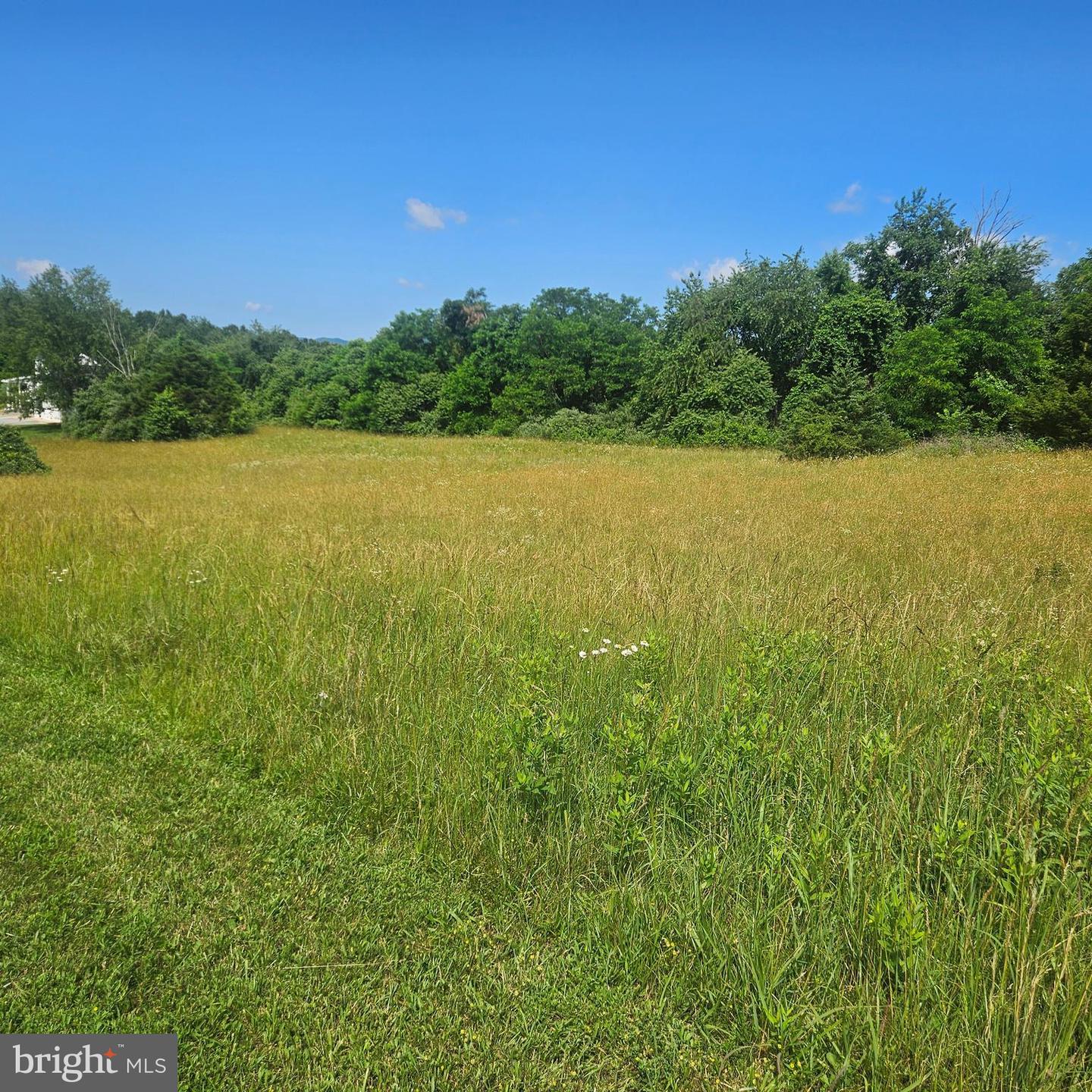 0 PEAR BLOSSOM LN #9, 11, 12, 13, NATURAL BRIDGE, Virginia 24578, ,Land,For sale,0 PEAR BLOSSOM LN #9, 11, 12, 13,VARB2000136 MLS # VARB2000136