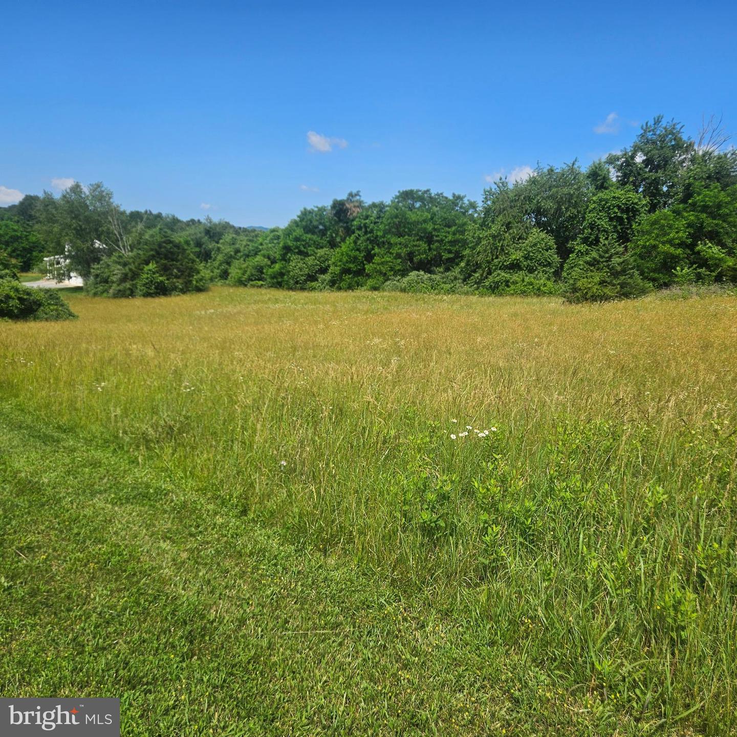 0 PEAR BLOSSOM LN #9, 11, 12, 13, NATURAL BRIDGE, Virginia 24578, ,Land,For sale,0 PEAR BLOSSOM LN #9, 11, 12, 13,VARB2000136 MLS # VARB2000136