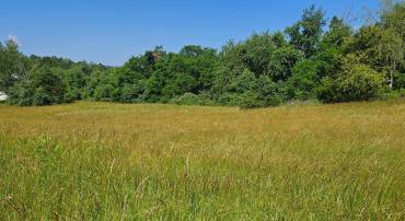 0 PEAR BLOSSOM LN #9, 11, 12, 13, NATURAL BRIDGE, Virginia 24578, ,Land,For sale,0 PEAR BLOSSOM LN #9, 11, 12, 13,VARB2000136 MLS # VARB2000136