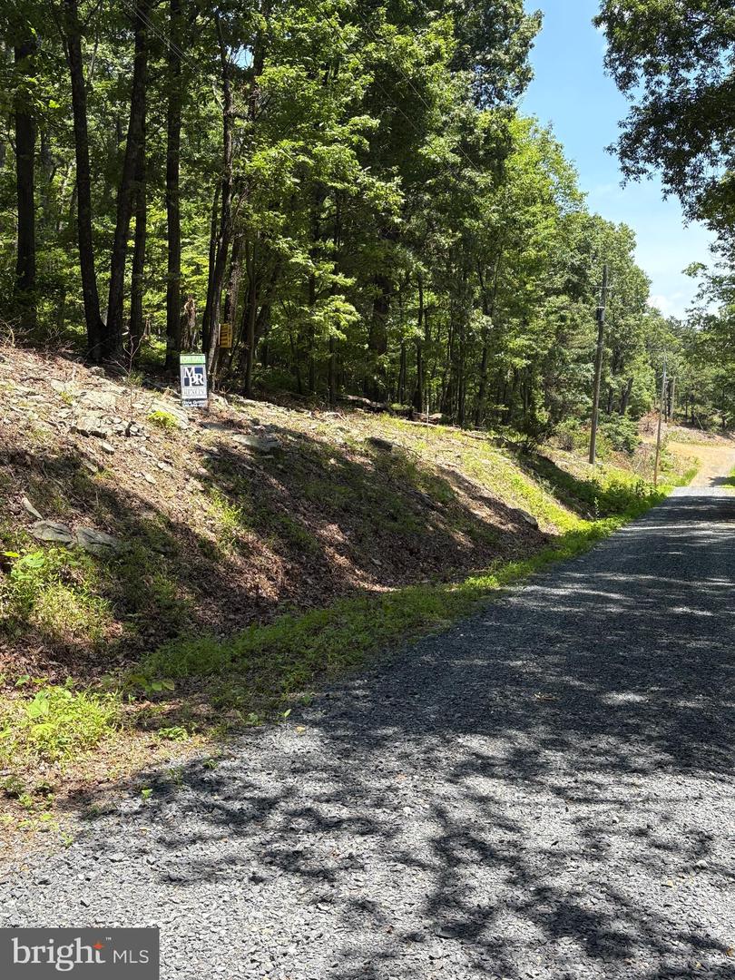LOT 85 MIMOSA, WINCHESTER, Virginia 22602, ,Land,For sale,LOT 85 MIMOSA,VAFV2035100 MLS # VAFV2035100