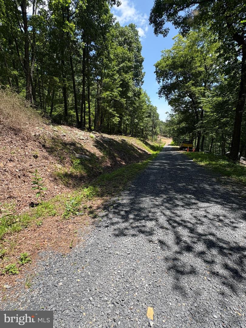 LOT 85 MIMOSA, WINCHESTER, Virginia 22602, ,Land,For sale,LOT 85 MIMOSA,VAFV2035100 MLS # VAFV2035100