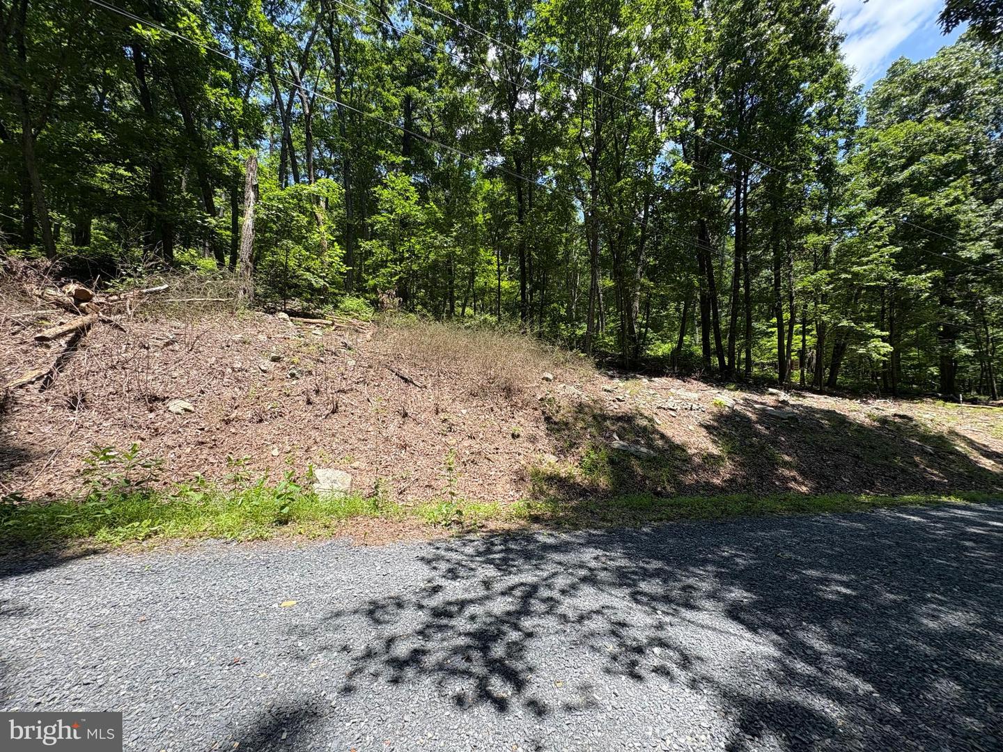 LOT 85 MIMOSA, WINCHESTER, Virginia 22602, ,Land,For sale,LOT 85 MIMOSA,VAFV2035100 MLS # VAFV2035100