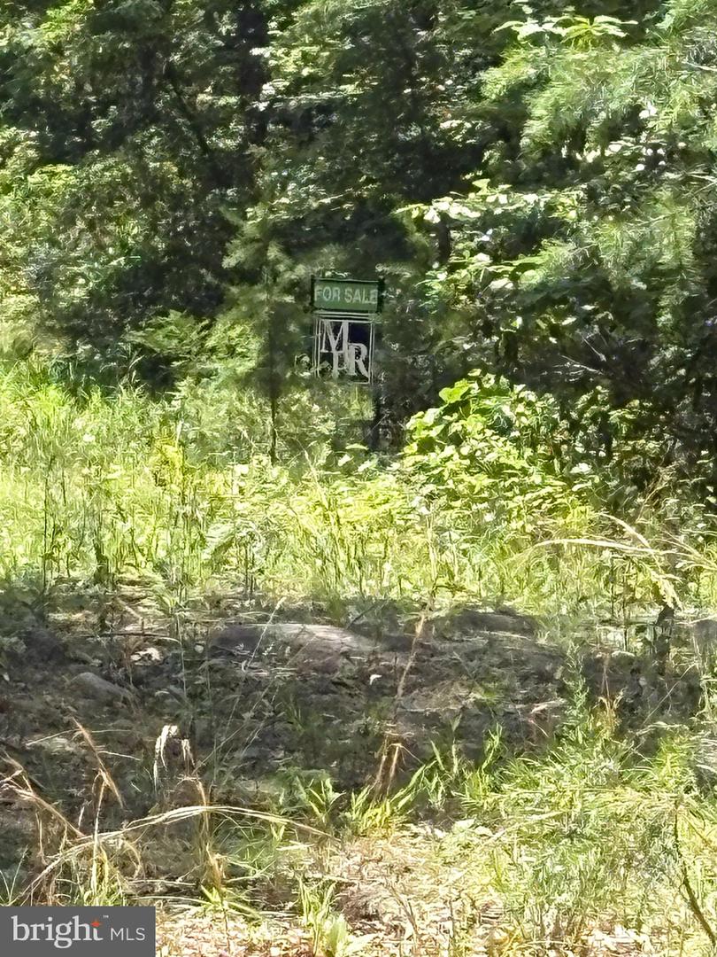 LOT 57 CHRYSANTHEMUM TRAIL, STAR TANNERY, Virginia 22654, ,Farm,For sale,LOT 57 CHRYSANTHEMUM TRAIL,VAFV2035106 MLS # VAFV2035106