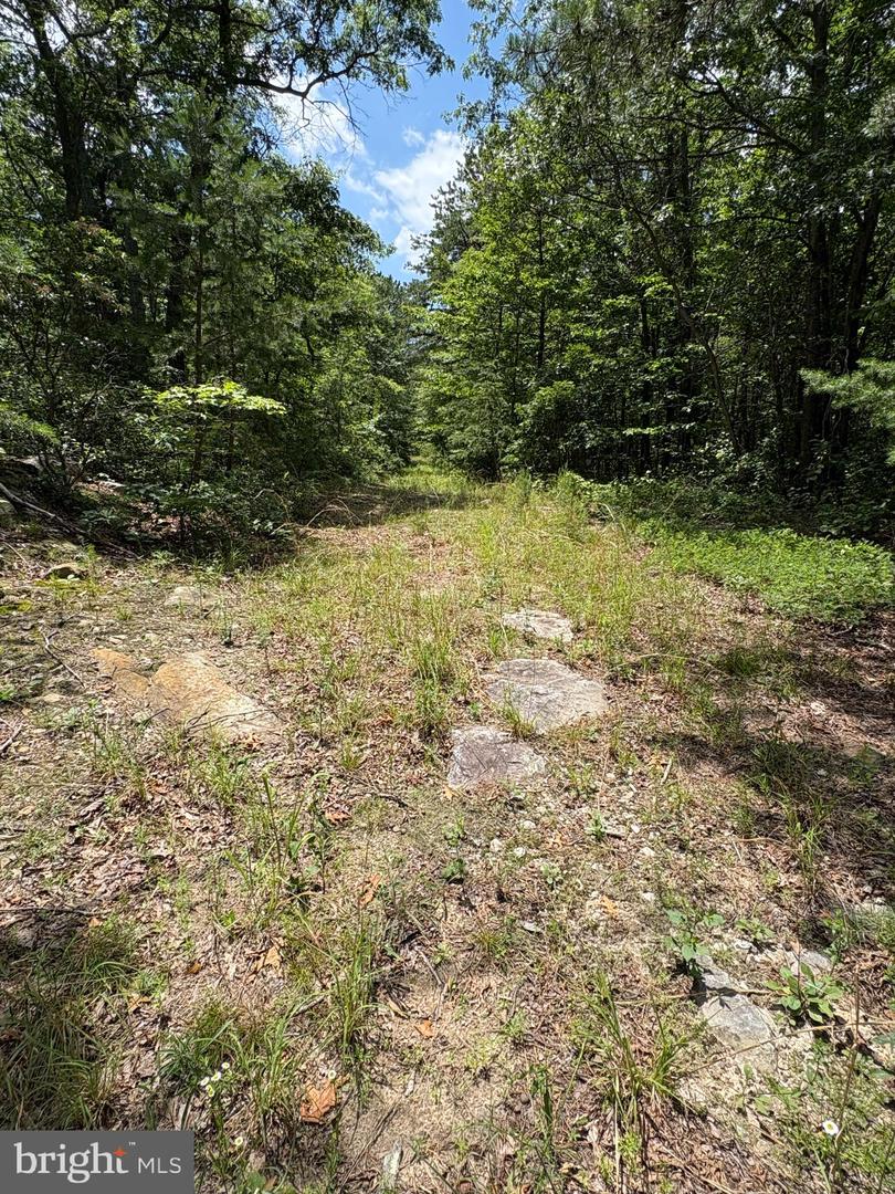 LOT 57 CHRYSANTHEMUM TRAIL, STAR TANNERY, Virginia 22654, ,Farm,For sale,LOT 57 CHRYSANTHEMUM TRAIL,VAFV2035106 MLS # VAFV2035106