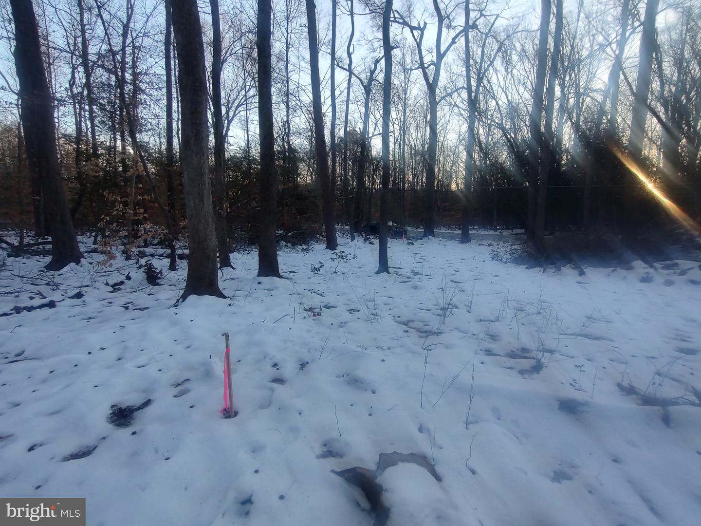 GUNSTON RD, LORTON, Virginia 22079, ,Land,For sale,GUNSTON RD,VAFX2250596 MLS # VAFX2250596