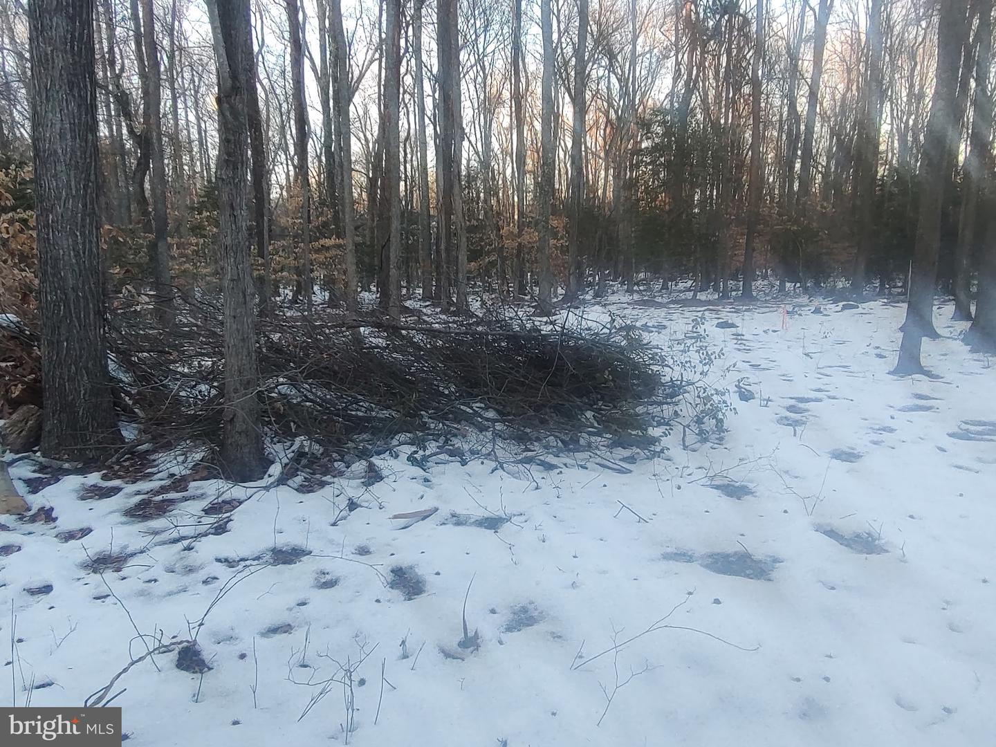 GUNSTON RD, LORTON, Virginia 22079, ,Land,For sale,GUNSTON RD,VAFX2250596 MLS # VAFX2250596