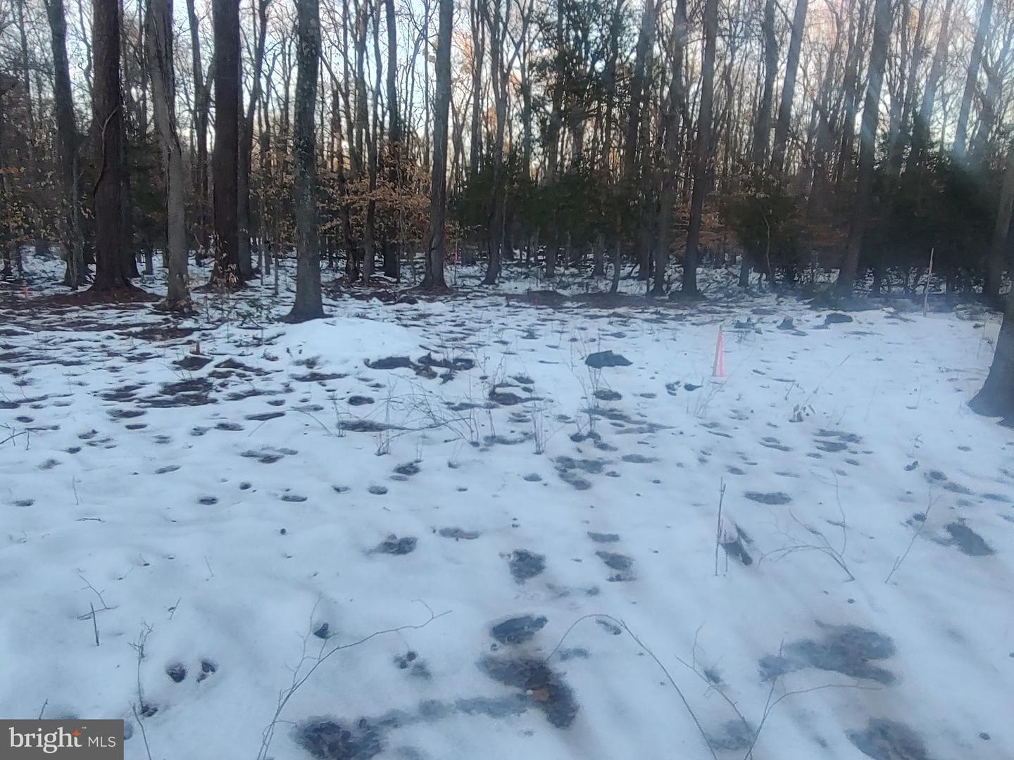 GUNSTON RD, LORTON, Virginia 22079, ,Land,For sale,GUNSTON RD,VAFX2250596 MLS # VAFX2250596