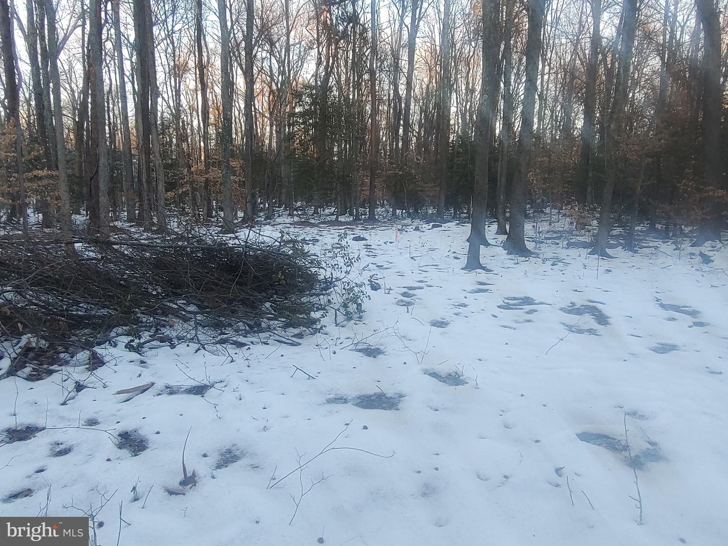 GUNSTON RD, LORTON, Virginia 22079, ,Land,For sale,GUNSTON RD,VAFX2250596 MLS # VAFX2250596