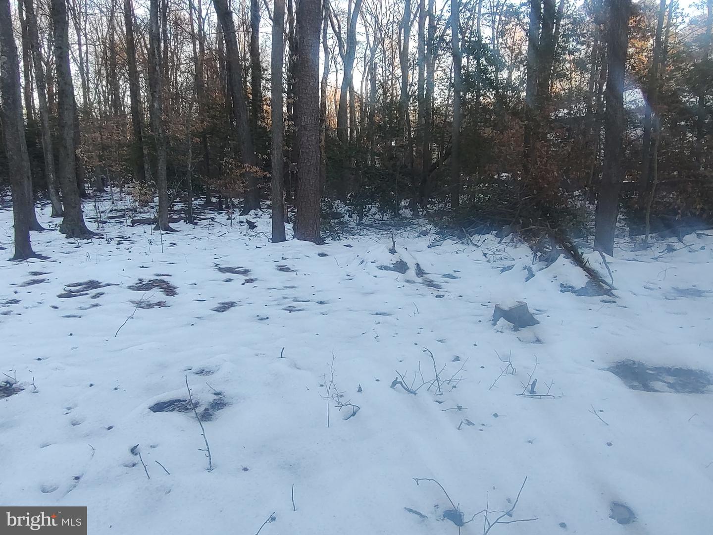 GUNSTON RD, LORTON, Virginia 22079, ,Land,For sale,GUNSTON RD,VAFX2250596 MLS # VAFX2250596
