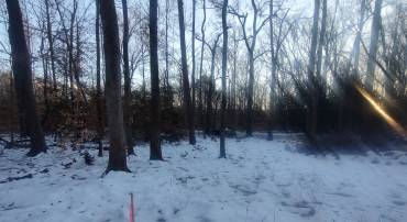 GUNSTON RD, LORTON, Virginia 22079, ,Land,For sale,GUNSTON RD,VAFX2250596 MLS # VAFX2250596