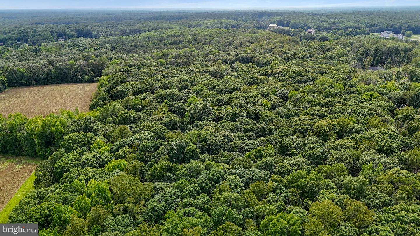 80 SHACKELFORD WELL RD, FREDERICKSBURG, Virginia 22406, 6 Bedrooms Bedrooms, ,5 BathroomsBathrooms,Residential,For sale,80 SHACKELFORD WELL RD,VAST2039706 MLS # VAST2039706
