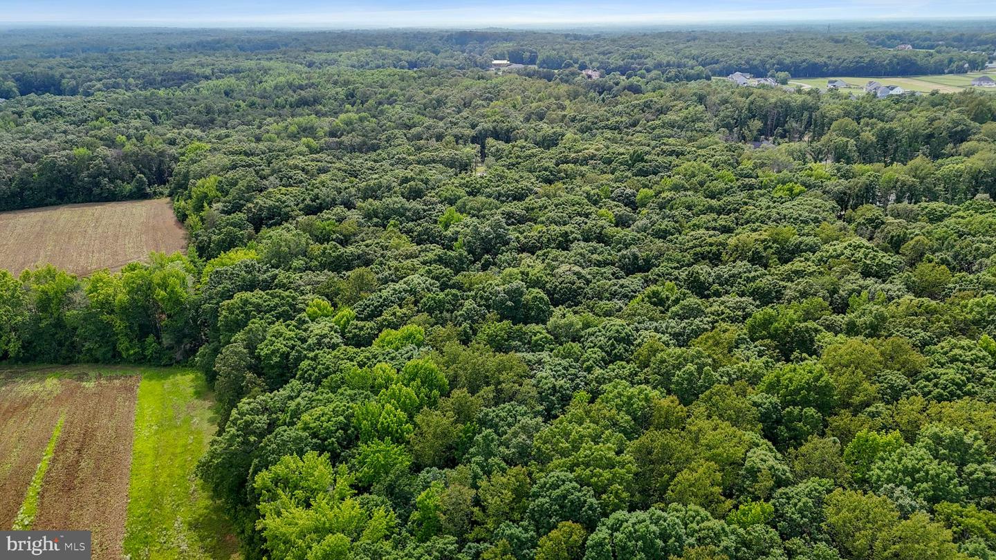 80 SHACKELFORD WELL RD, FREDERICKSBURG, Virginia 22406, 6 Bedrooms Bedrooms, ,5 BathroomsBathrooms,Residential,For sale,80 SHACKELFORD WELL RD,VAST2039706 MLS # VAST2039706