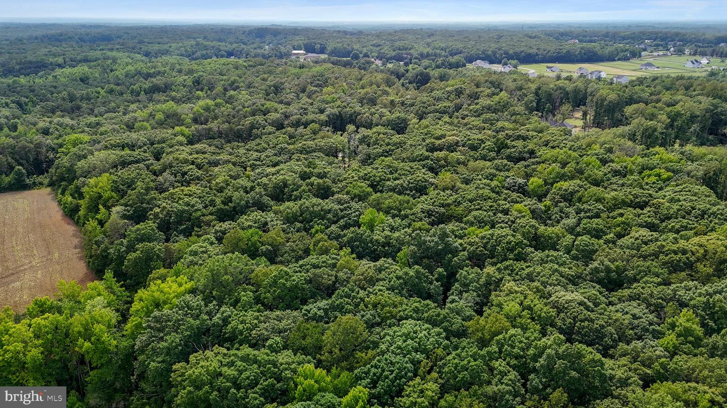 80 SHACKELFORD WELL RD, FREDERICKSBURG, Virginia 22406, 6 Bedrooms Bedrooms, ,5 BathroomsBathrooms,Residential,For sale,80 SHACKELFORD WELL RD,VAST2039706 MLS # VAST2039706