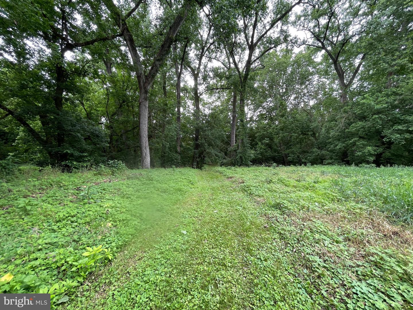 175 HOWELLSVILLE RD, FRONT ROYAL, Virginia 22630, 2 Bedrooms Bedrooms, ,2 BathroomsBathrooms,Residential,For sale,175 HOWELLSVILLE RD,VAWR2011482 MLS # VAWR2011482