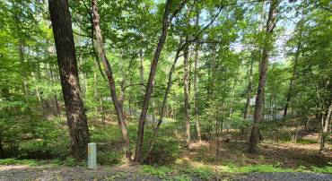 DAWN, BASYE, Virginia 22810, ,Land,For sale,DAWN,VASH2011700 MLS # VASH2011700