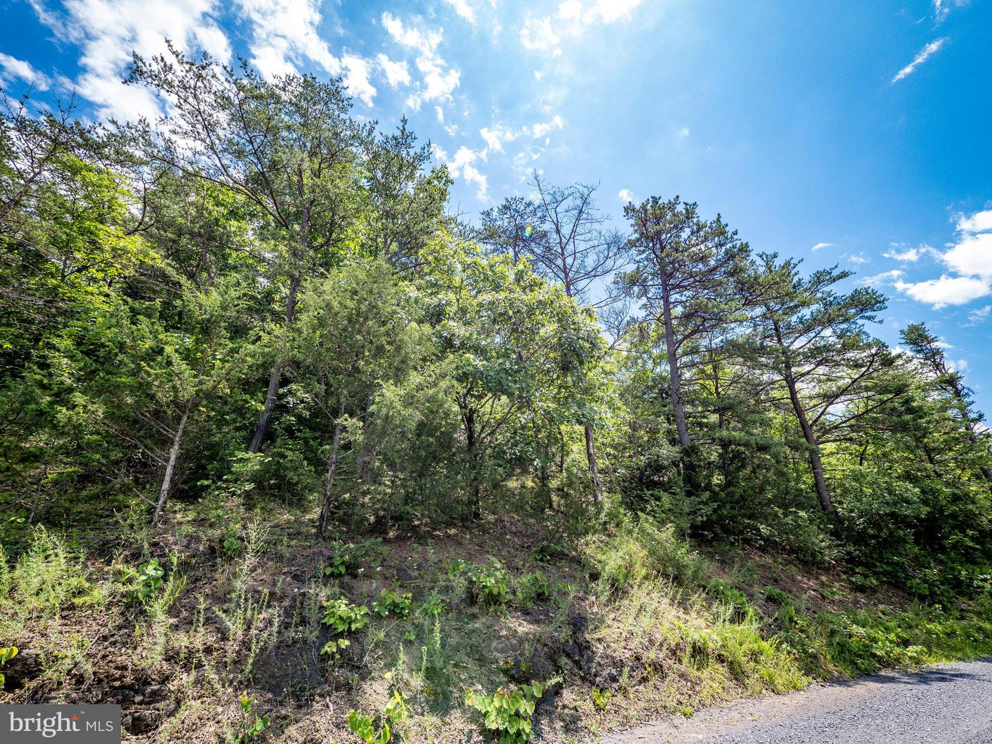 LOT 8 STAR TANNERY RD, STAR TANNERY, Virginia 22654, ,Land,For sale,LOT 8 STAR TANNERY RD,VAFV2035050 MLS # VAFV2035050