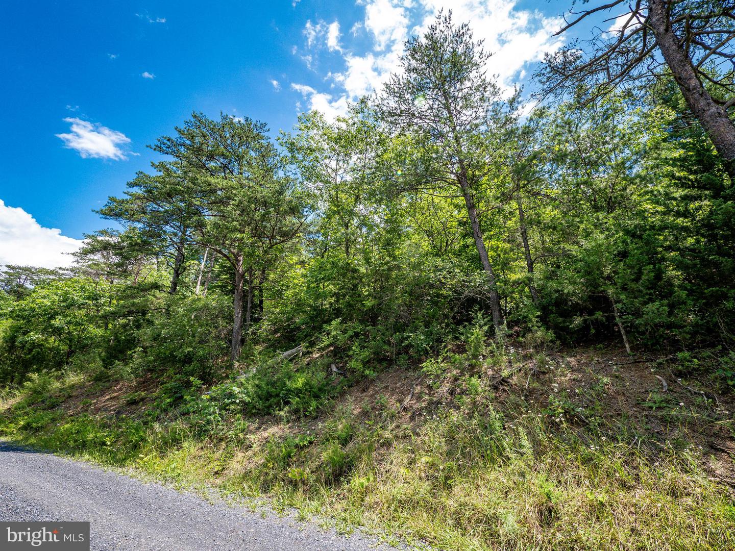 LOT 8 STAR TANNERY RD, STAR TANNERY, Virginia 22654, ,Land,For sale,LOT 8 STAR TANNERY RD,VAFV2035050 MLS # VAFV2035050