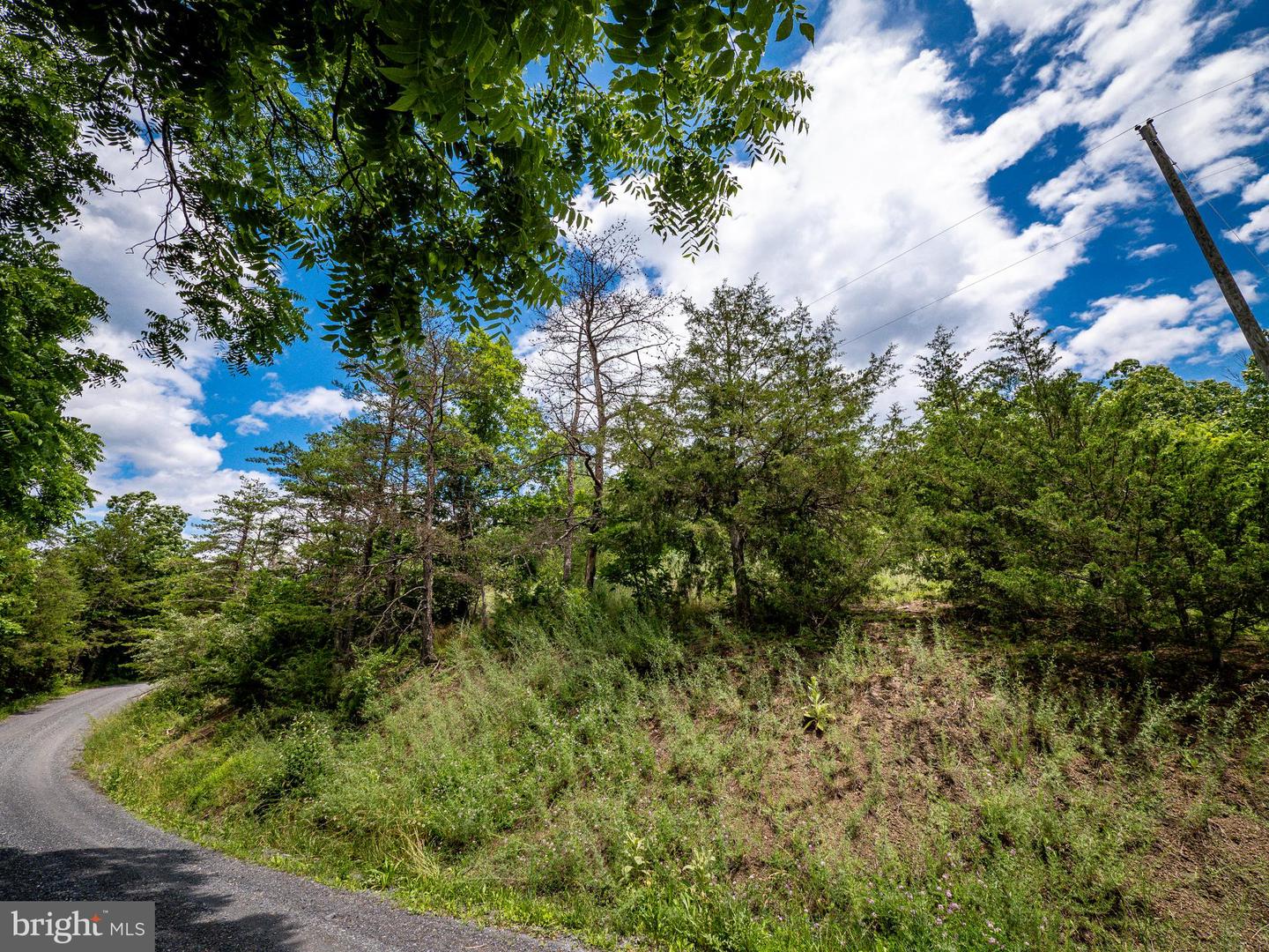 LOT 9 STAR TANNERY RD, STAR TANNERY, Virginia 22654, ,Land,For sale,LOT 9 STAR TANNERY RD,VAFV2035076 MLS # VAFV2035076